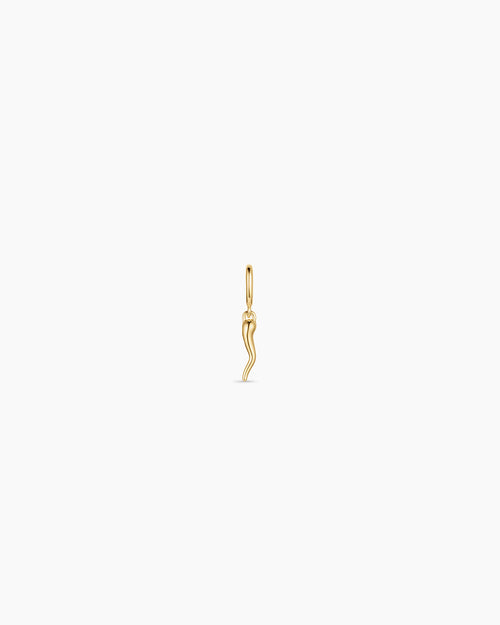 Italian Horn Parker Charm
