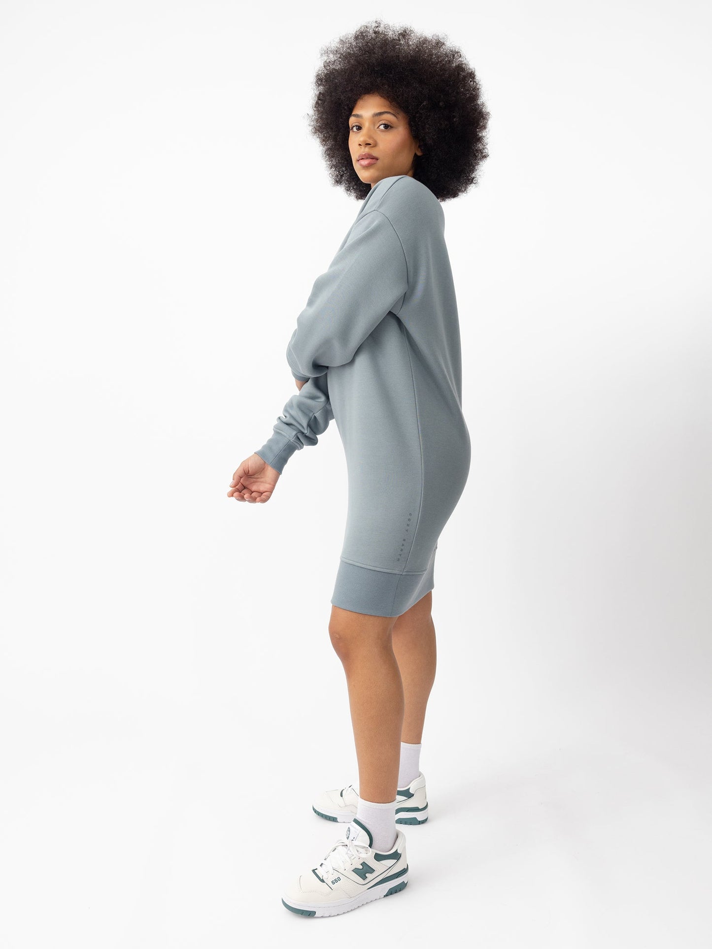 Women's CityScape Crewneck Dress - Last Chance