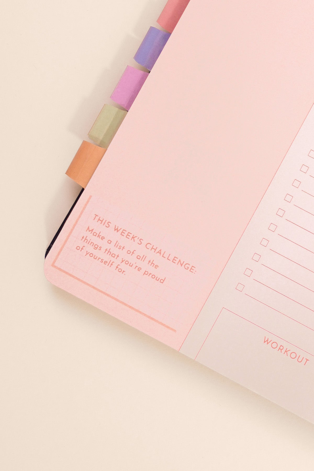 2026 Fit Planner + Stickers - Multicolor Floral